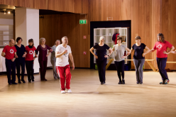 Cursus Roemeense Rapsodie door Daniel Sandu 